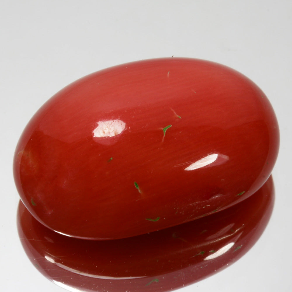 UNTREATED 19.00Cts Natural Italian Red Coral Sugarloaf Cabochon Gem